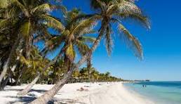 Key West FL Strippers